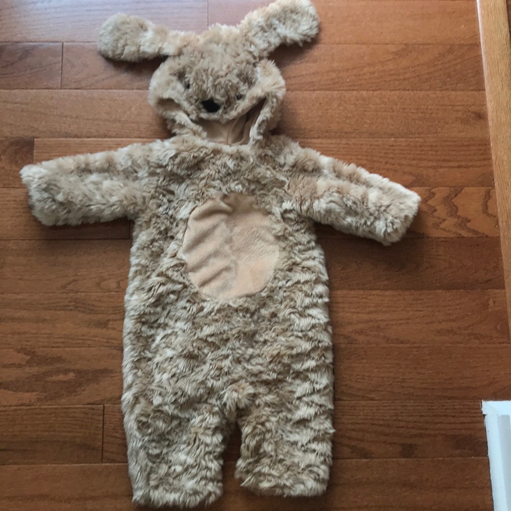 Pottery Barn kids Halloween dog costume